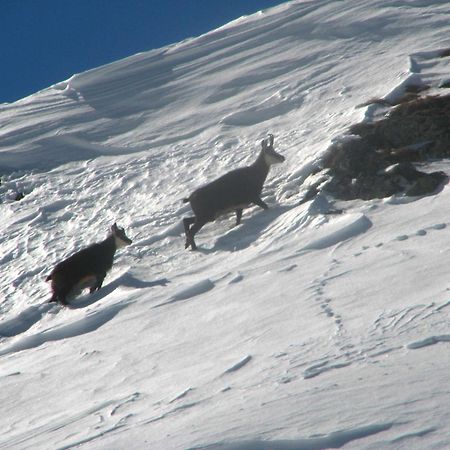 Dolomitissime Holiday Homes Marmolada ロッカ・ピエートレ エクステリア 写真